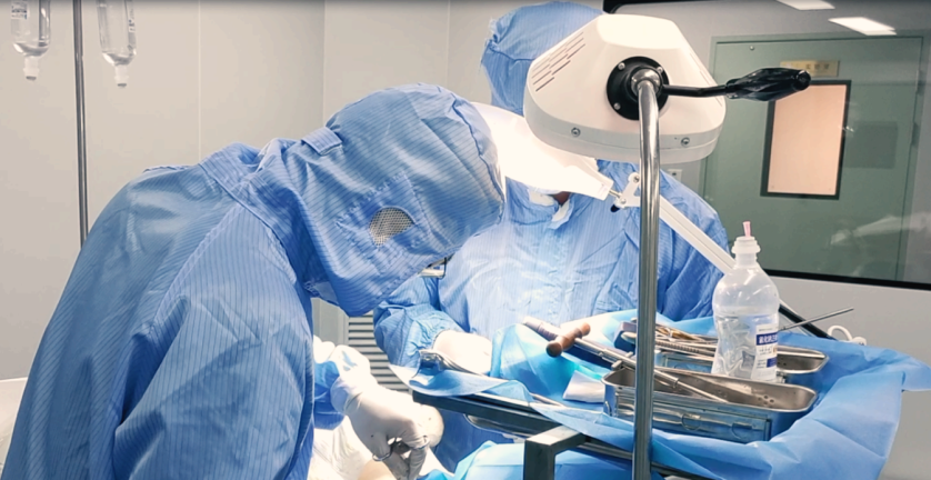 心源性猝死，动物模型如何破局？