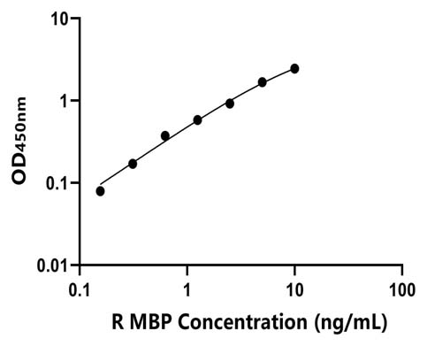 兔(MBP)ELISA试剂盒
