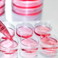 ExoPuraR® Basic外泌体纯化柱试剂盒