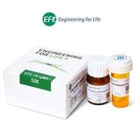 甲基丙烯酰化海藻酸钠（ AlgMA）