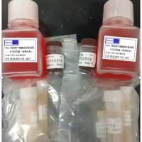 干细胞成脂诱导分化试剂盒（培养体系）