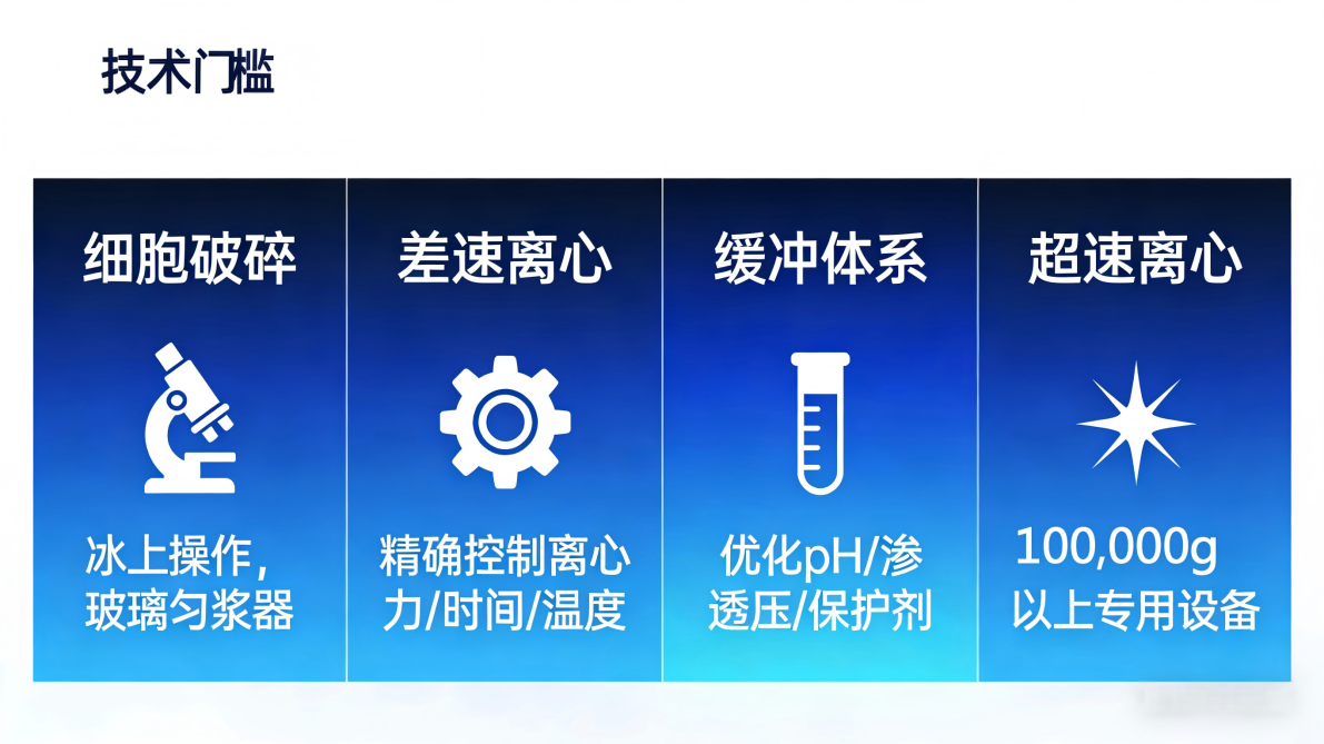 制备与分析 2.png 制备与分析 2.png