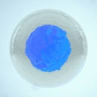 MSC细胞外泌体（人）