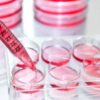 外泌体提取纯化试剂盒-柱纯法（细胞上
清） UR52170