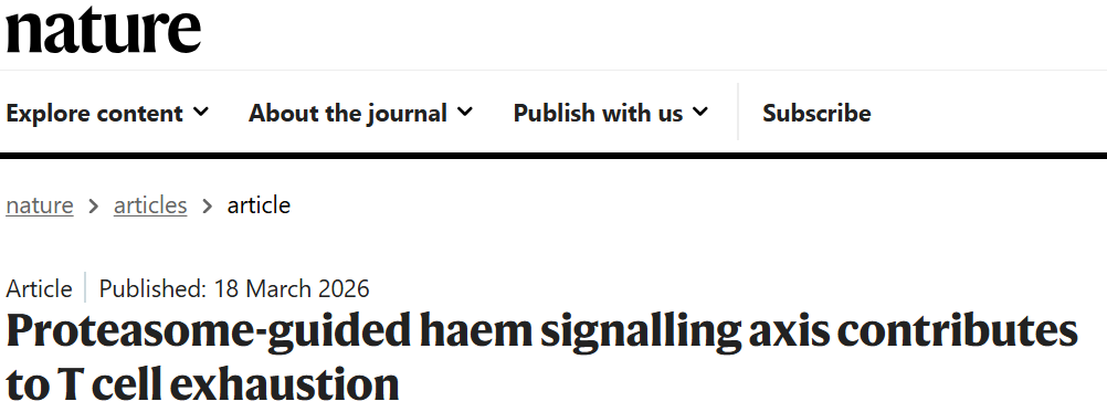 顶刊重磅！中国医学科学院王建祥/徐颖茜团队揭示泛素化驱动T细胞耗竭，提出CAR-T优化新策略