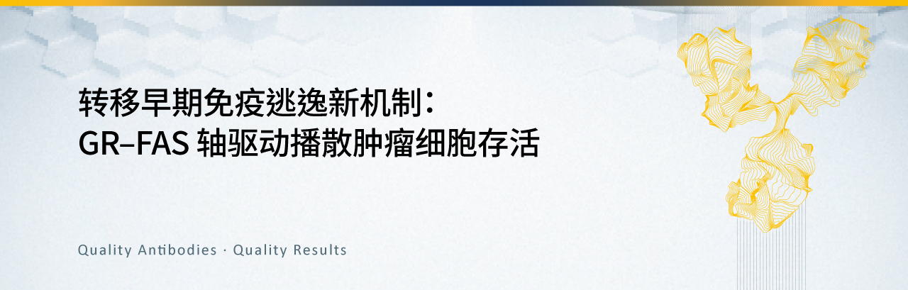 新闻图片1