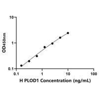 人前胶原赖氨酸-1,2-酮戊二酸-5-双加氧酶1(PLOD1)ELISA试剂盒