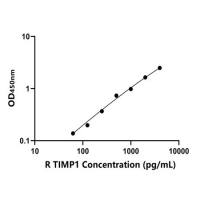 兔组织金属蛋白酶抑制因子1(TIMP1)ELISA试剂盒