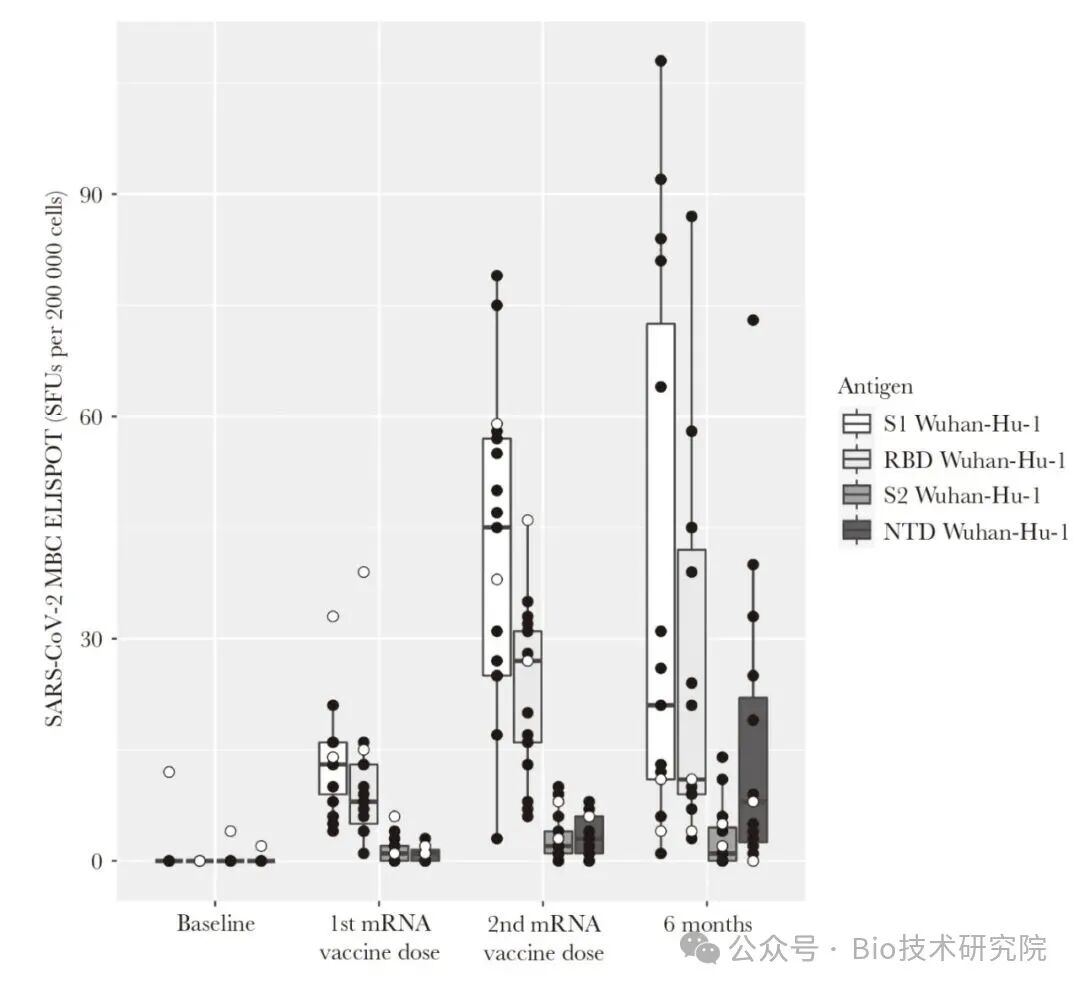 3分钟了解ELISPOT技术检测B细胞免疫应答的5大关键步骤