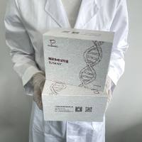 微生物(Microorganism)多巴胺(DA)ELISA检测试剂盒