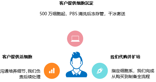 制备与分析 4.png 制备与分析 4.png