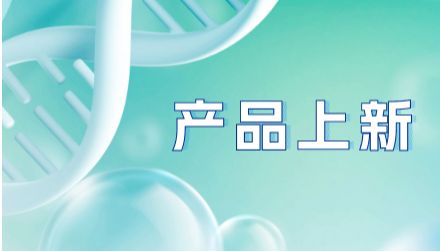 抗小鼠VEGFR2抗体（DC101）-阻断研究工具