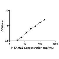 人层粘连蛋白α2(LAMa2)ELISA试剂盒