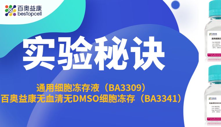 实验秘诀 | 百奥益康细胞冻存液：双款定制，让细胞冻存更高效更安心