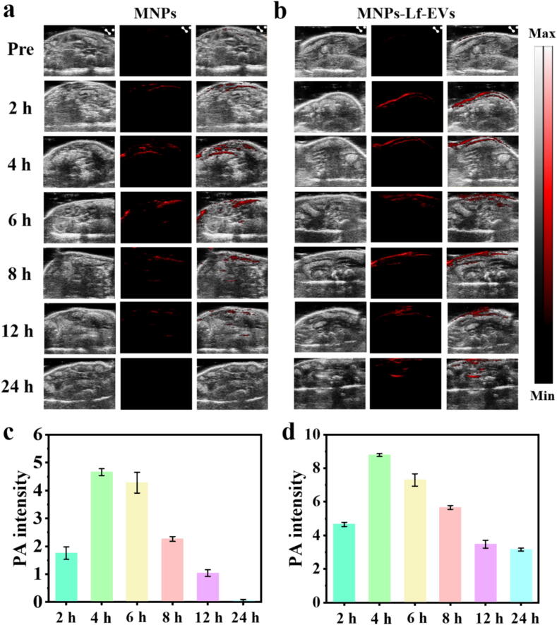 外泌体技术服务