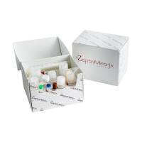 Human IgG ELISA 人IgG检测试剂盒