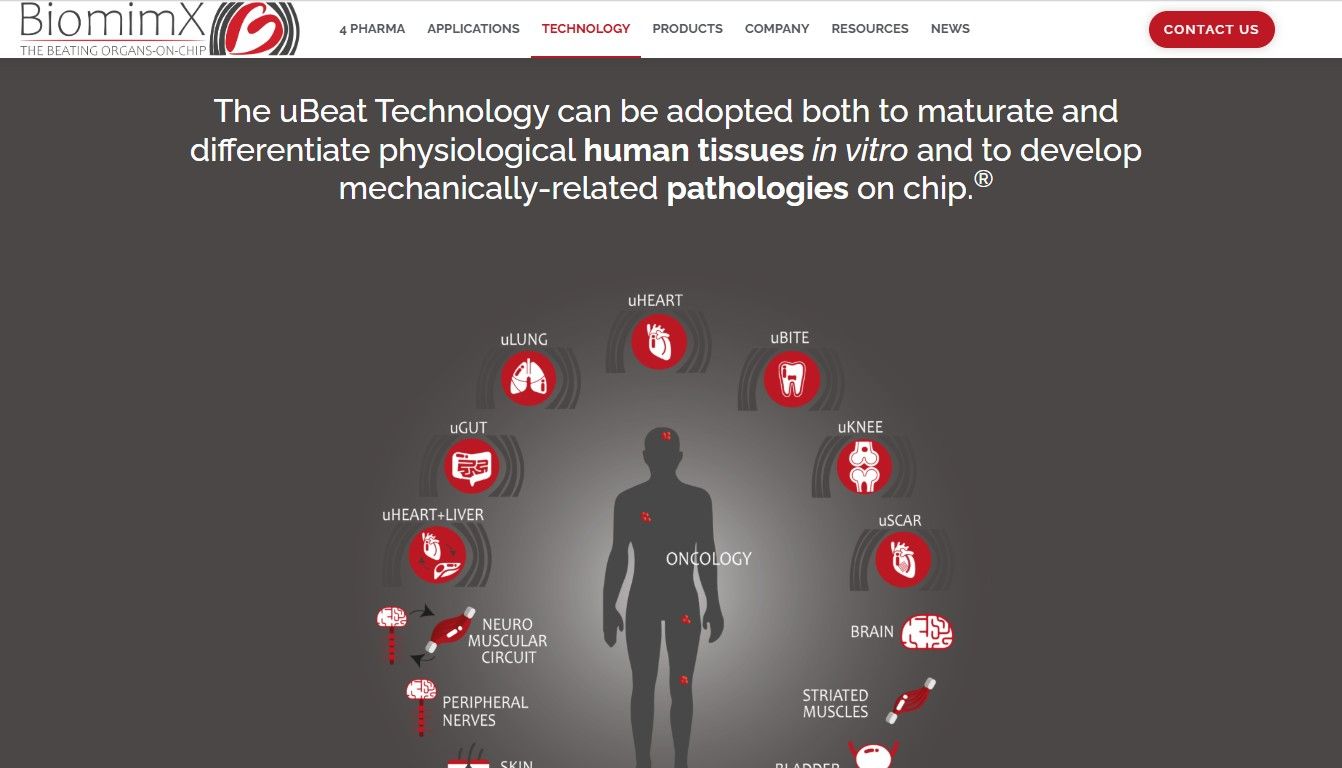 BiomimX Srl类器官芯片联合北京基尔比公司赋能中国本土市场