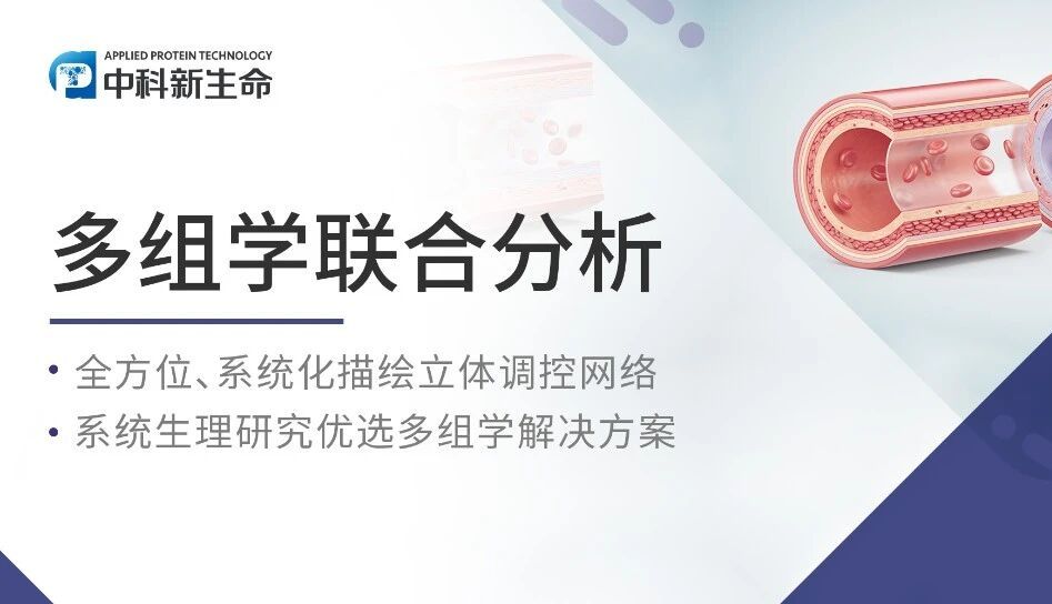 项目文章Cell Metab | 胱氨酸促进血管再生！华中科技大学与海德堡大学解密胱氨酸恢复衰老血管年轻态机制！