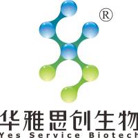 Lifeline LL-0062 StemLife MSC-BM Bone Marrow Medium Complete Kit 骨髓MSC完全培养基套装
