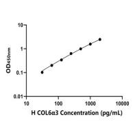人Ⅵ型胶原α3(COL6α3)ELISA试剂盒