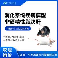 非酒精性脂肪肝模型