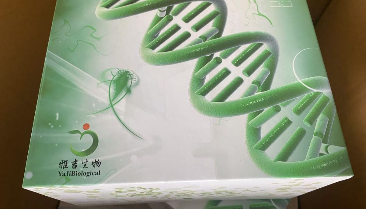 磺胺多残留快速检测试剂盒