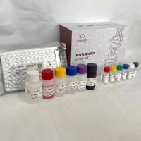 还原型辅酶I（NADH）酶联免疫分析试剂盒