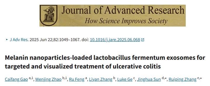 J Adv Res 13｜天然益生菌外泌体负载黑色素纳米颗粒，抗氧化+菌群调节双效协同，UC可视化治疗迈向临床！