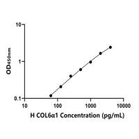 人Ⅵ型胶原α1(COL6α1)ELISA试剂盒