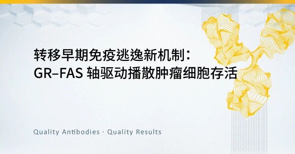 GR–FAS 轴驱动播散肿瘤细胞存活—转移早期免疫逃逸新机制