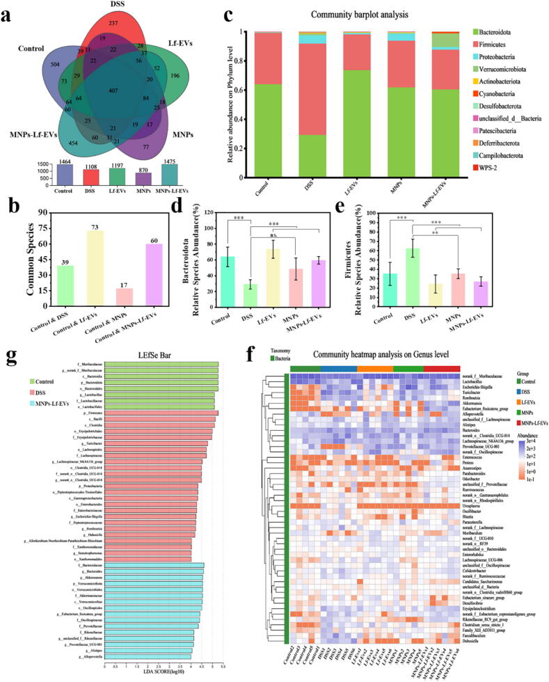 生物信息学分析