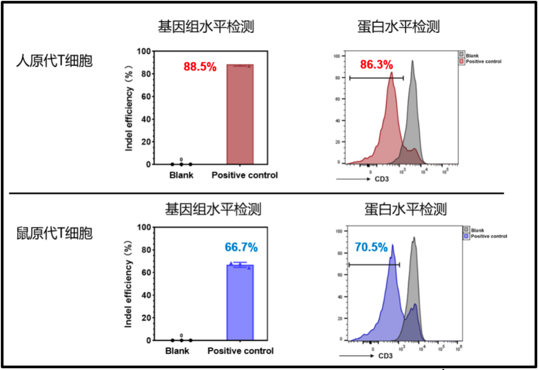 技术资料图片5