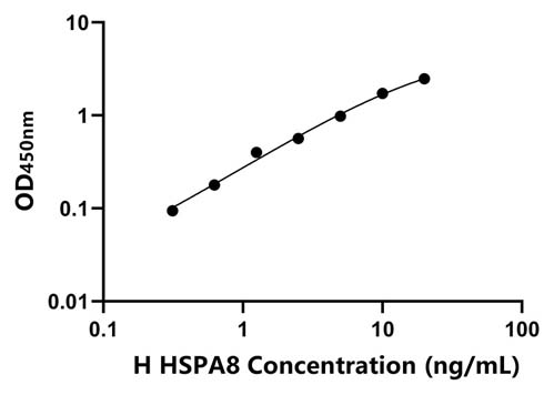 人(HSPA8)ELISA试剂盒