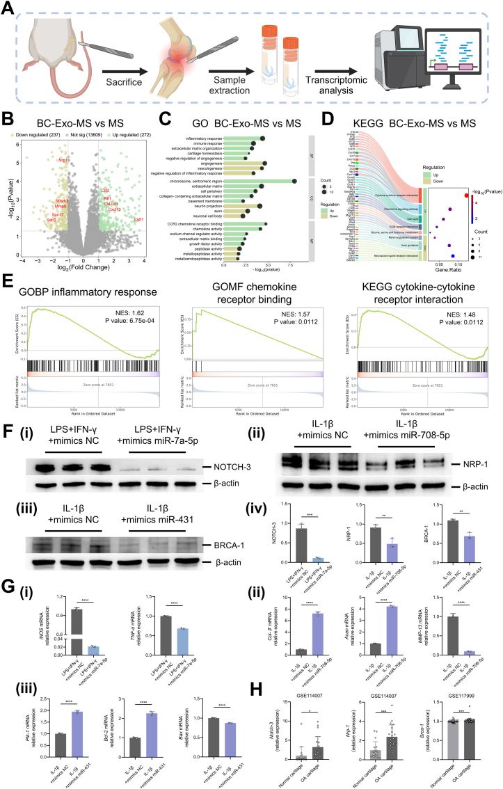 外泌体技术服务