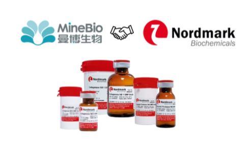 Nordmark：组织消化解决方案专家｜胶原酶｜曼博生物官方代理