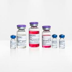 康宁代理 354787 Synthegel 3D hiPSC基质试剂盒 现货