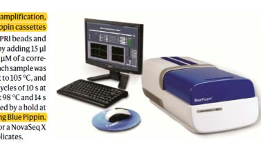 全自动DNA脉冲场电泳回收仪用于5' 转录组测序及CUT&amp;RUN《Nature》-蚂蚁嗅觉基因选择性表达机制新发现