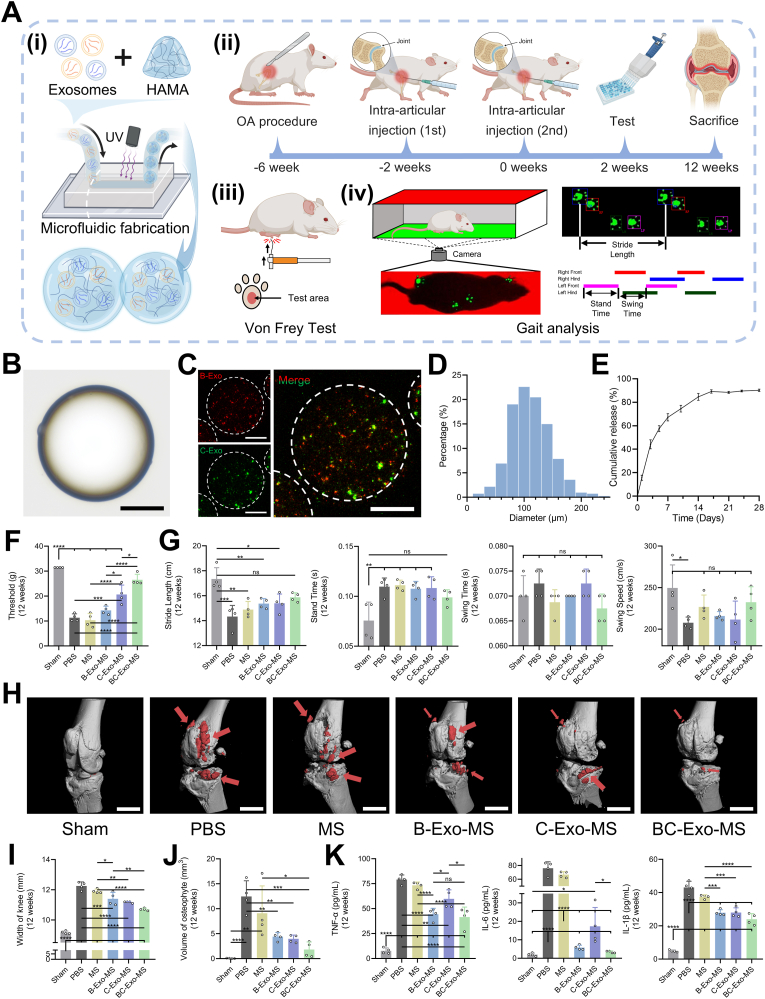 外泌体技术服务