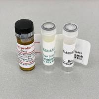 现货供应 Hypoxyprobe-1 Plus Kit 缺氧探针检测试剂盒