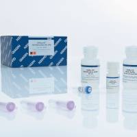 Qiagen货号28704胶回收试剂盒QIAquick Gel Extraction Kit上海睿安生物19121878899