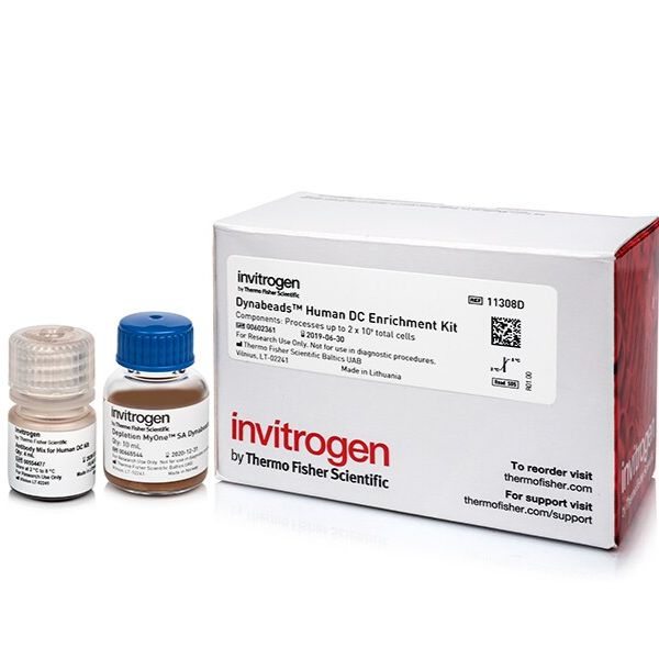 11308D Dynabeads™ 人树状细胞 (DC) 富集试剂盒