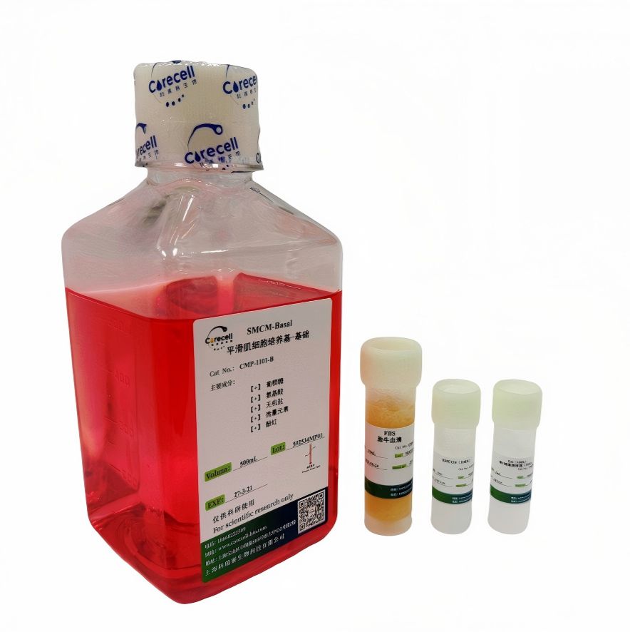 平滑肌细胞培养基（SMCM）
