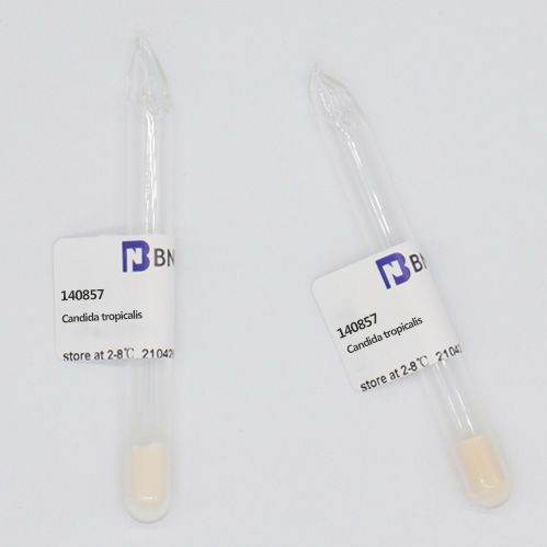 BNCC产品目录-菌种-5