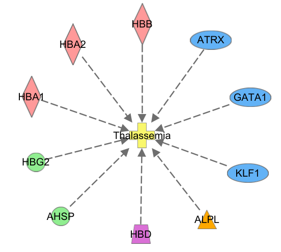 地中海贫血症中不可忽视的结构变异