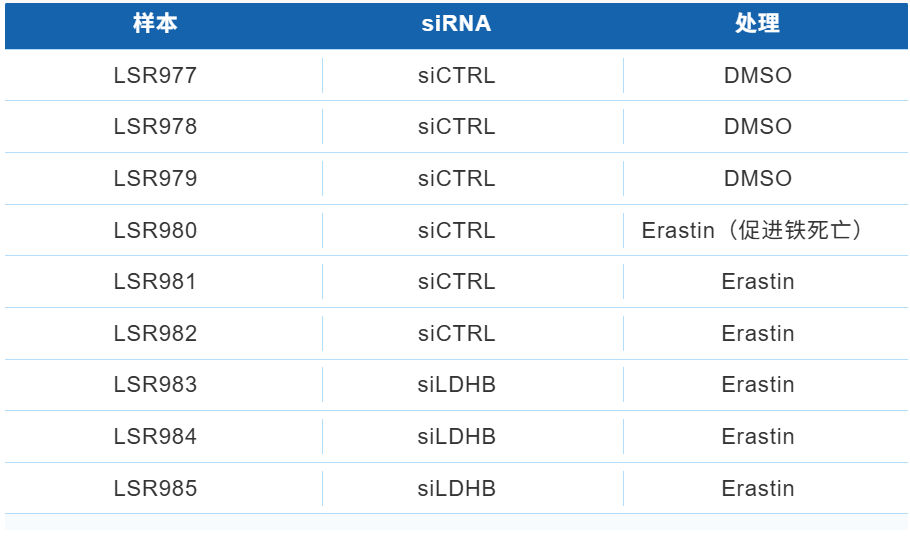 如何探索铁死亡与肺癌的关系？