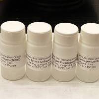 免疫级别牛II型胶原(Immunization Grade Bovine Type II Collagen)
