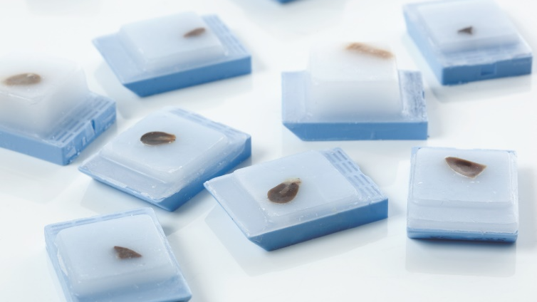 国内外指南共识“点名”RNA检测，你的FFPE样本准备好了吗？