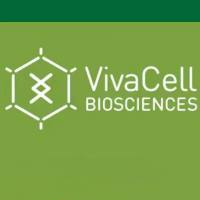 VivaCell货号C2620-0500新生牛血清(Newborn Calf Serum)上海睿安生物VivaCell(原BI)官方正式授权代理商19121878899