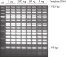 Efficient 16plex PCR.
