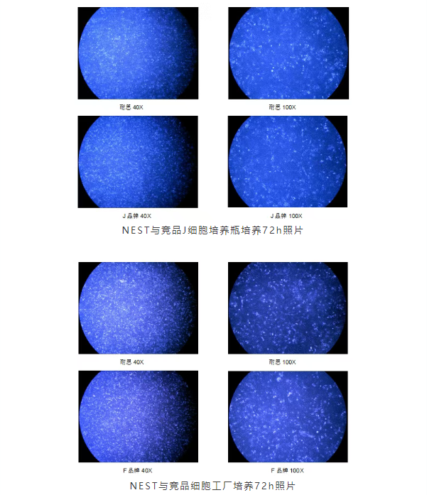 新闻图片2